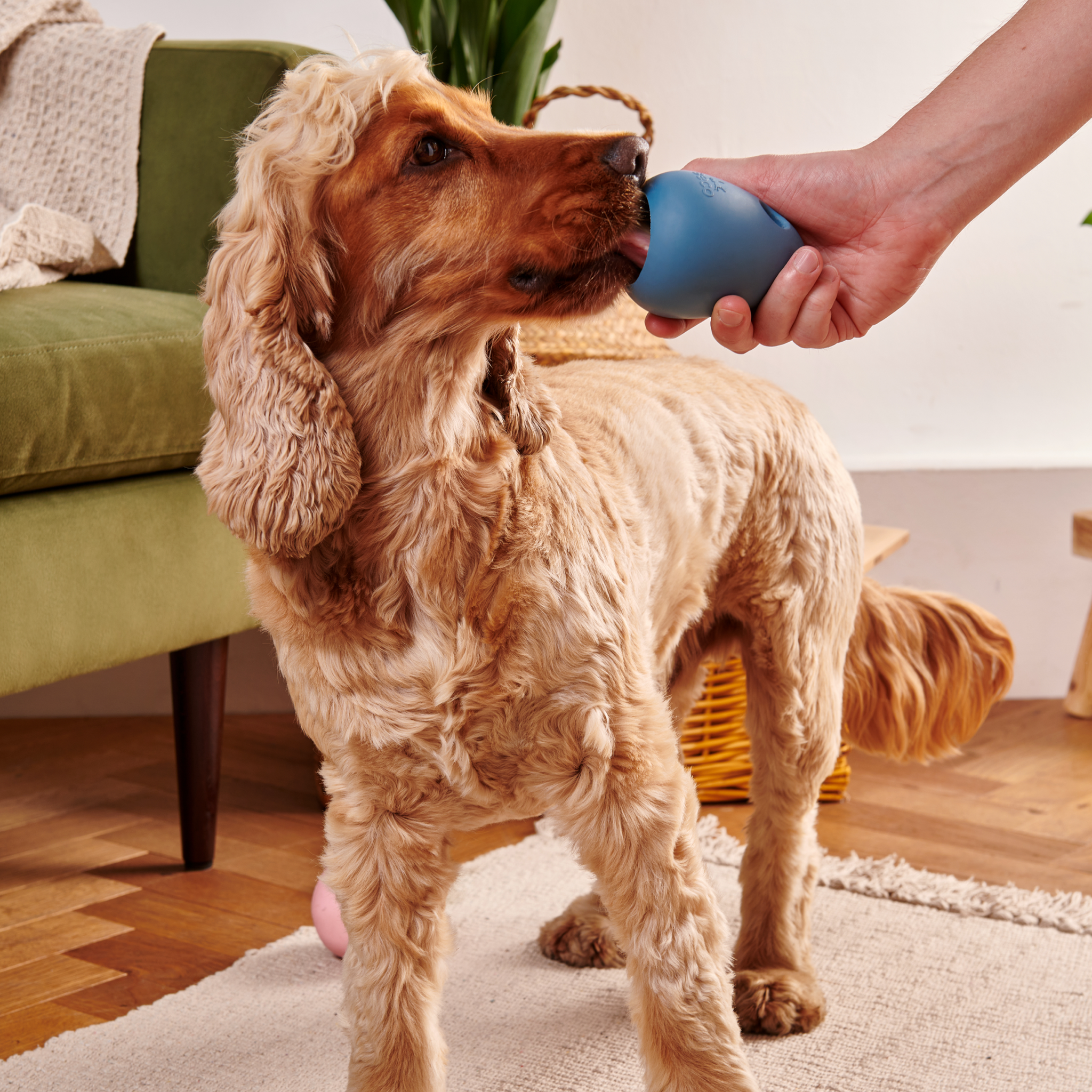 Beco Pet - Hundespielzeug "Boredom Buster" in blau