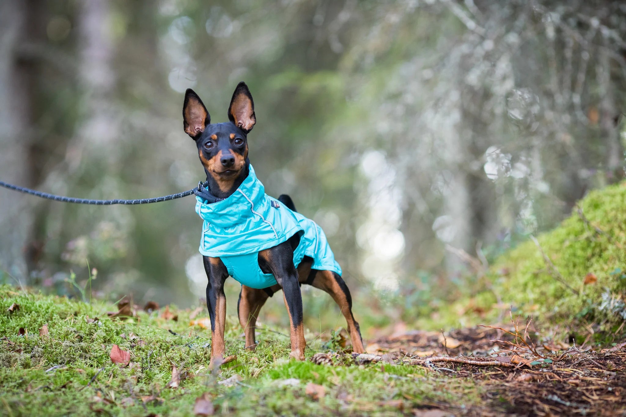 Rukka - Raincoat "Hase" in türkis